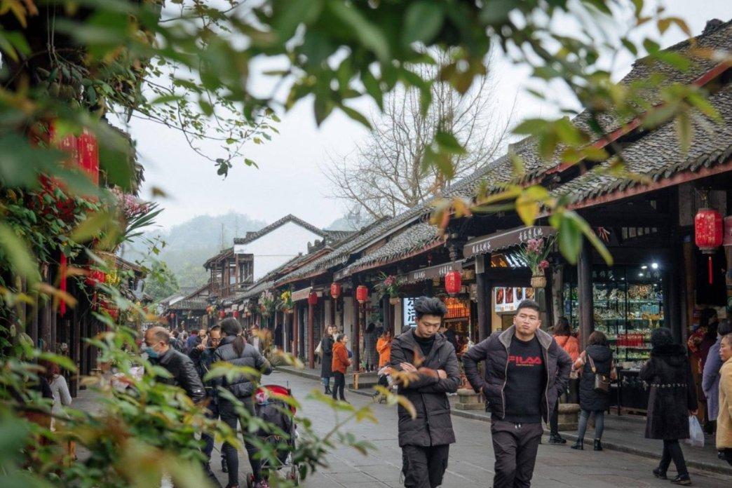 今年全国首只人工繁育的小斑海豹在大连诞生